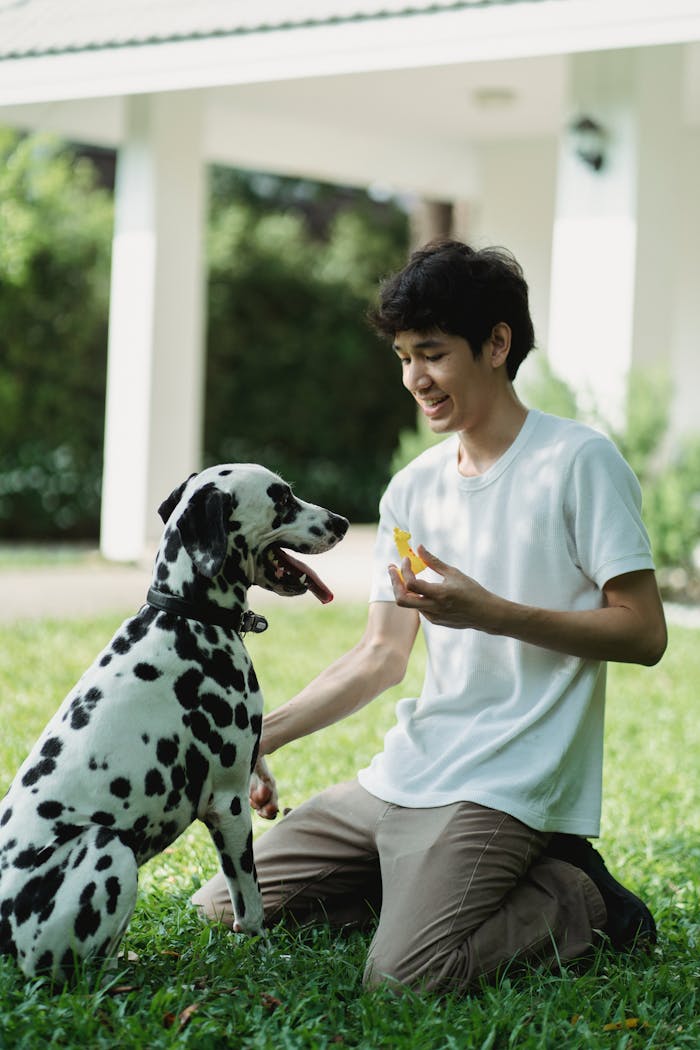 our-mission A young man with a Dalmatian dog outdoors, holding a toy for training in a grassy area.