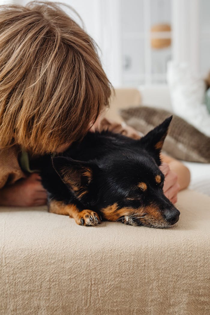 A child lovingly cuddles a sleeping dog on a cozy couch indoors.