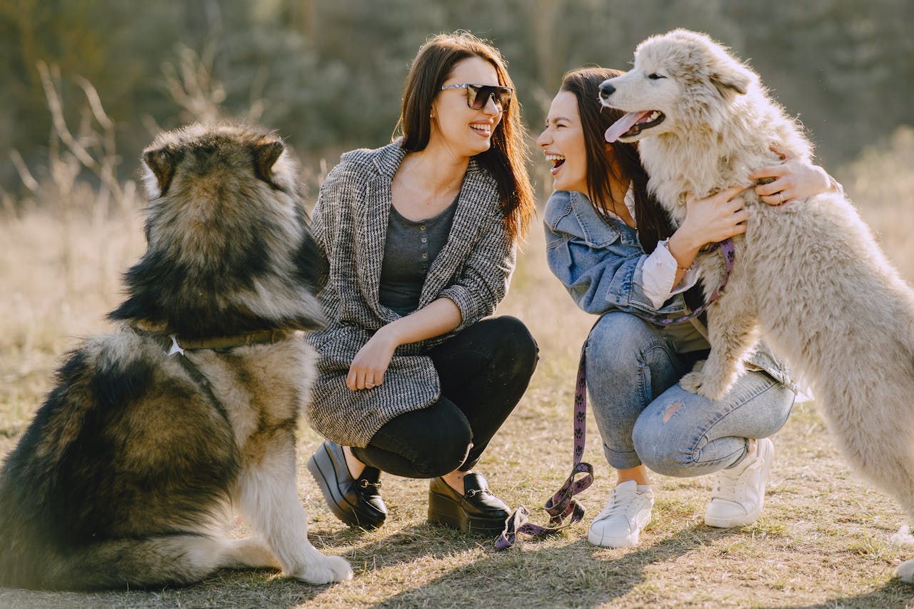 Happy woman in sunglasses and casual wear squatting near Husky and cheerful female friend in denim clothes embracing fluffy dog on grass in daylight while looking at each other