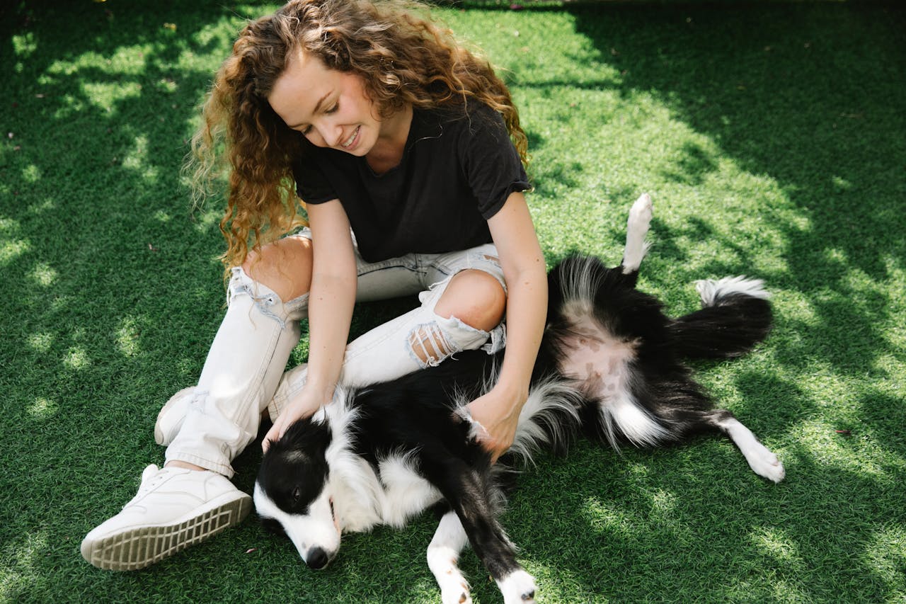 High angle of content adult female with curly hair caressing purebred dog with fluffy fur on lawn